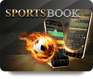 Key Features of SBOTOP Live Dealer Hot You Need to Know